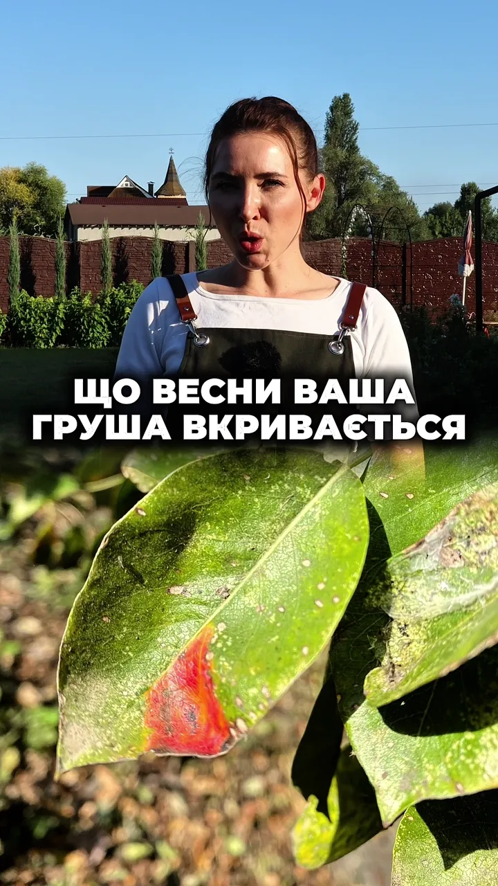 Монтаж Reels — процес — Бʼюті та PMU