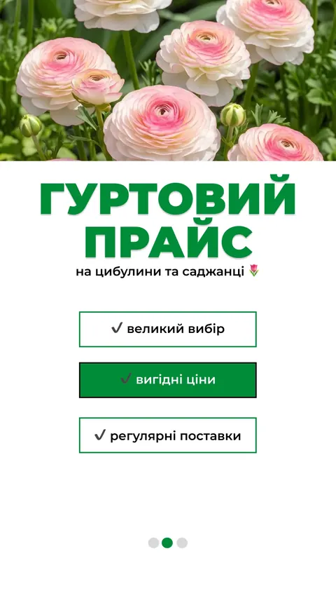 Квітковий бутік — сторіс — Peonita