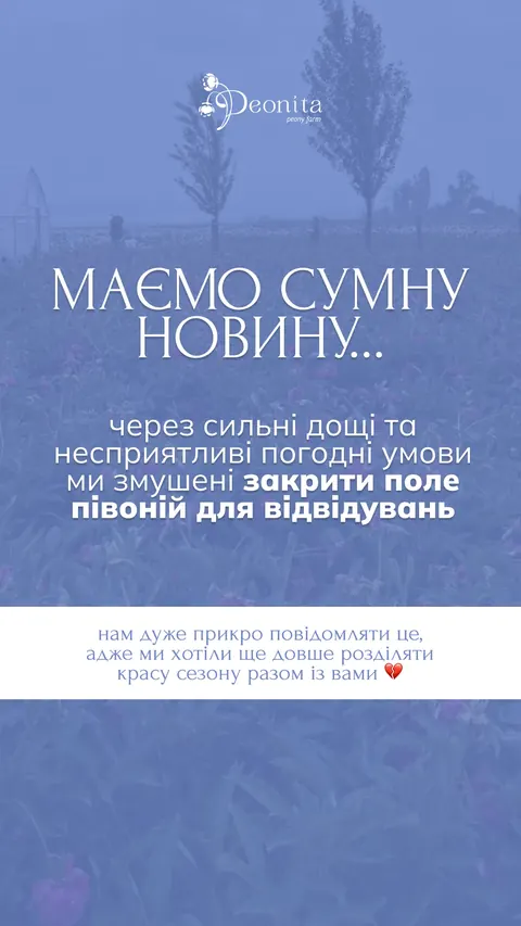 Квітковий бутік — сторіс — Peonita