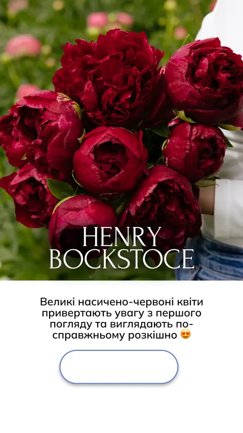 Квітковий бутік — сторіс — Peonita