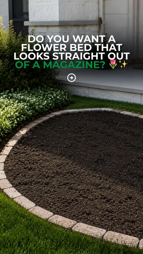 Клумба як з журналу — гак — Garden bulbs